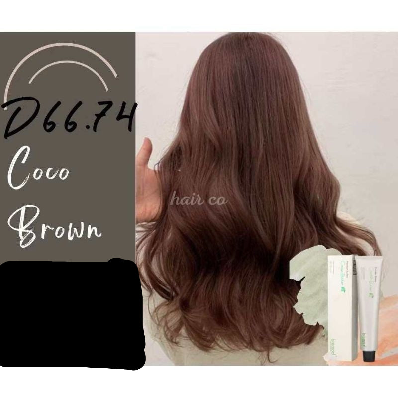 Bremod Hair Color Premium Cocoa with Oxidizer cream Coco Brown D66.74